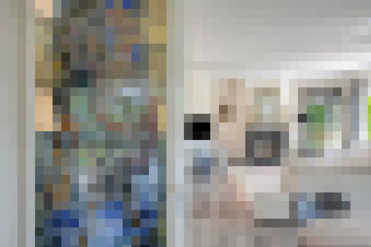 Bentheimerstraat 28 de Lutte thumbnail 6