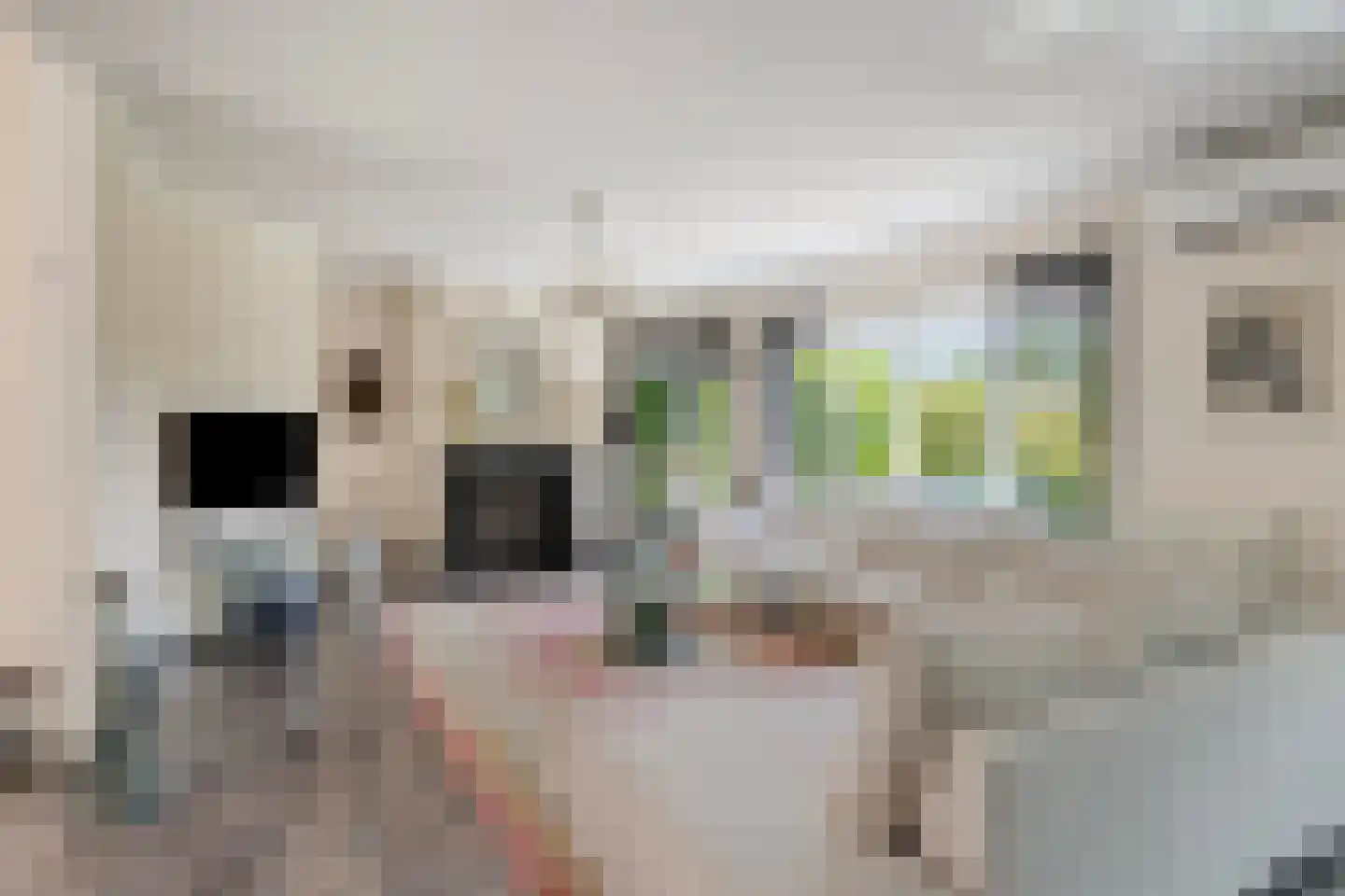 Bentheimerstraat 28 de Lutte thumbnail 7