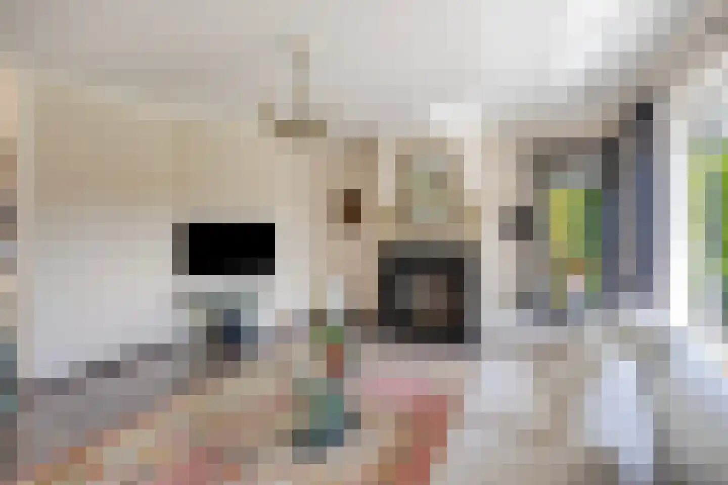 Bentheimerstraat 28 de Lutte thumbnail 8