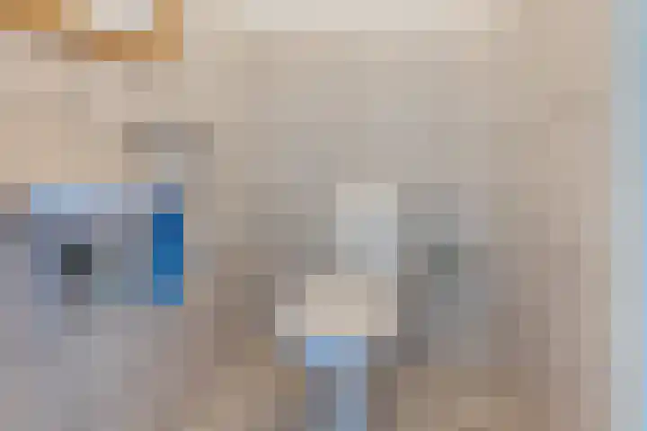 Bentheimerstraat 33 Oldenzaal thumbnail 14