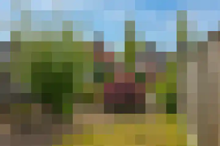 Bentheimerstraat 33 Oldenzaal thumbnail 32