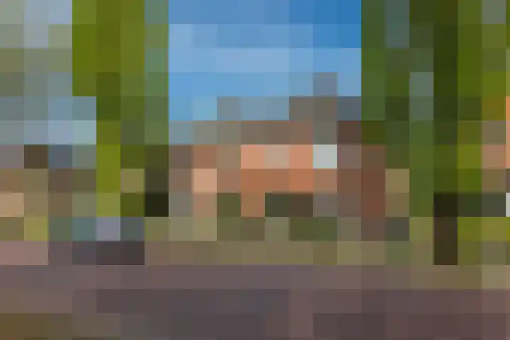 Bentheimerstraat 33 Oldenzaal thumbnail 33