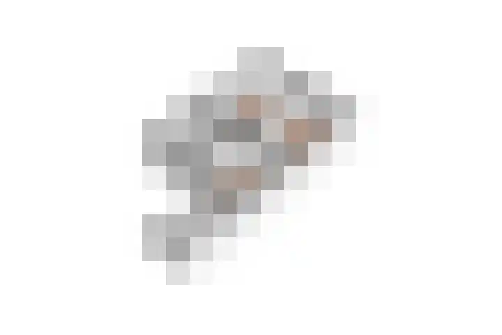 Bentheimerstraat 33 Oldenzaal thumbnail 39