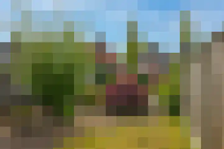 Bentheimerstraat 33 Oldenzaal thumbnail 4
