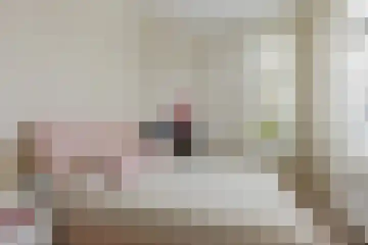 Bentheimerstraat 38 de Lutte thumbnail 13