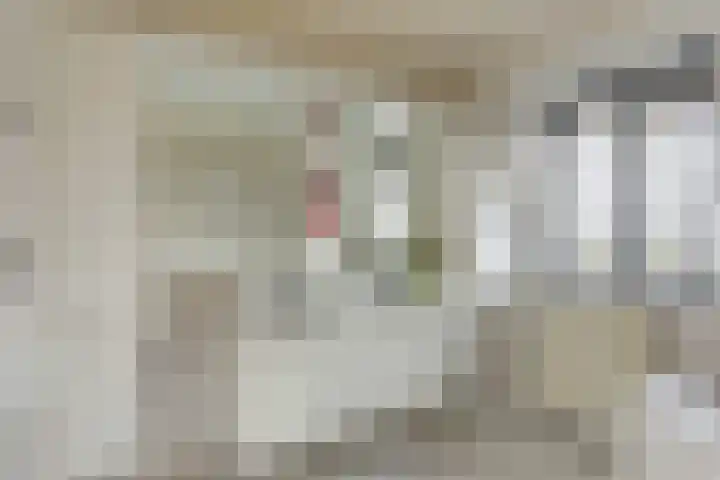 Bentheimerstraat 38 de Lutte thumbnail 15