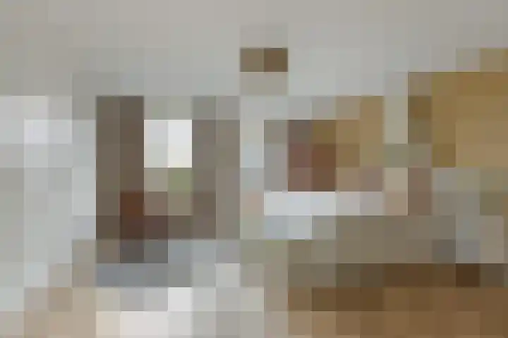 Bentheimerstraat 38 de Lutte thumbnail 17