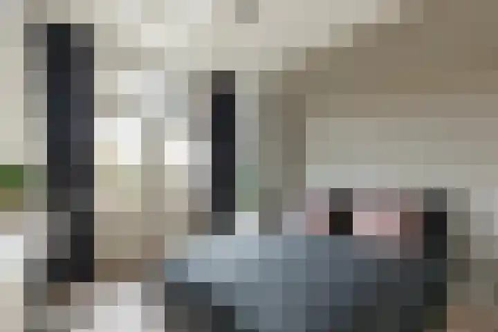 Bentheimerstraat 38 de Lutte thumbnail 18