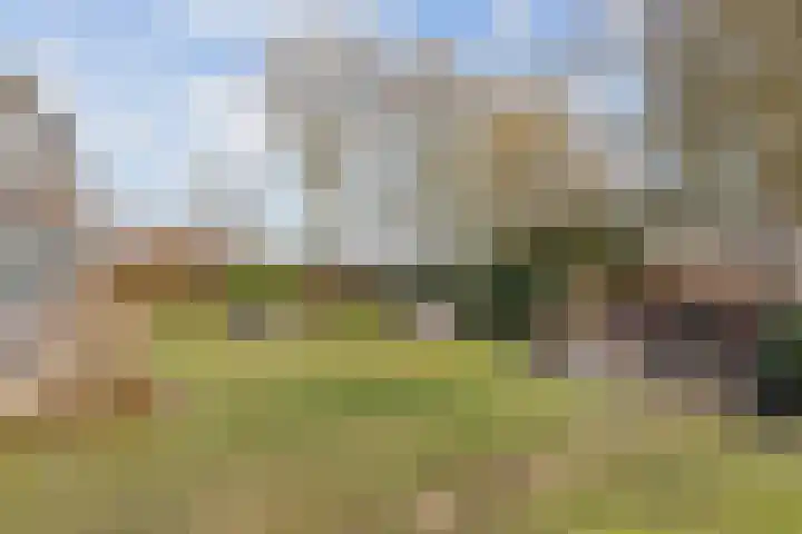 Bentheimerstraat 38 de Lutte thumbnail 22