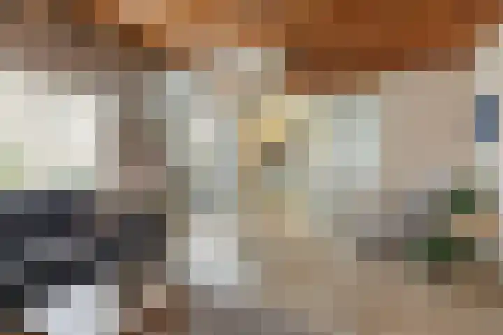 Bentheimerstraat 38 de Lutte thumbnail 26