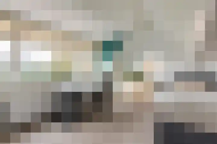 Bentheimerstraat 38 de Lutte thumbnail 28