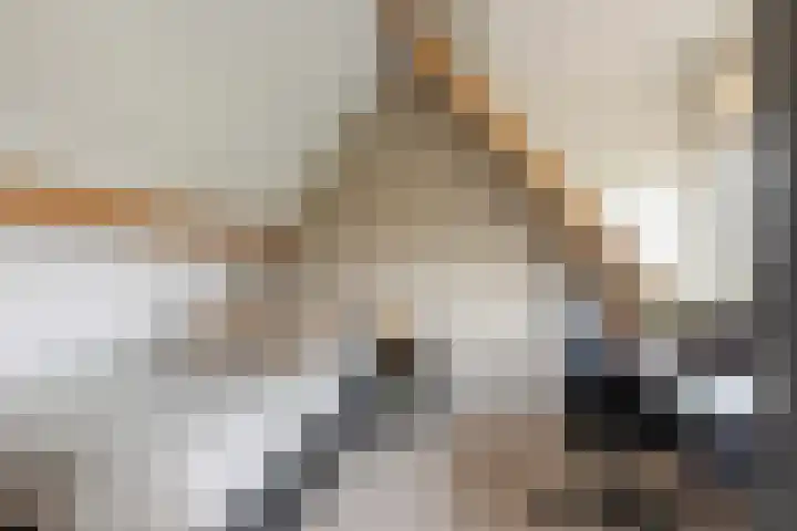 Bentheimerstraat 38 de Lutte thumbnail 29