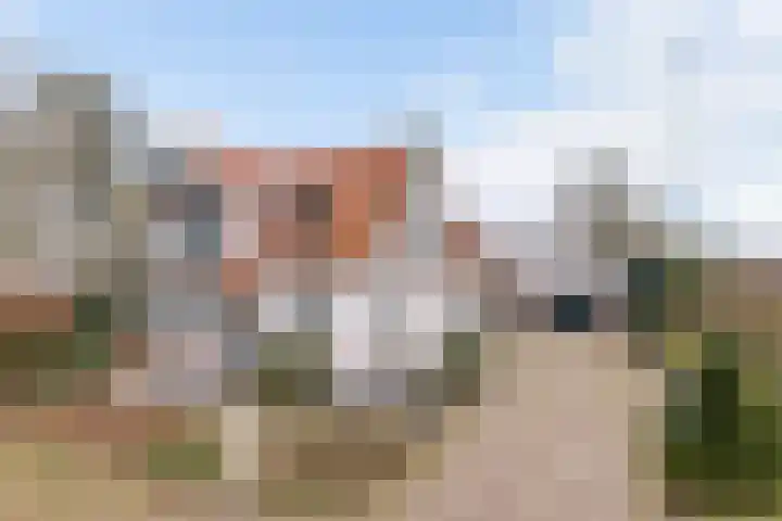 Bentheimerstraat 38 de Lutte thumbnail 6