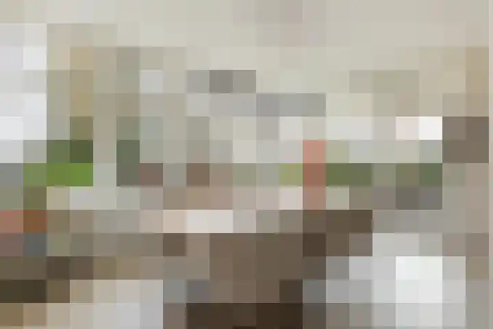 Bentheimerstraat 38 de Lutte thumbnail 7