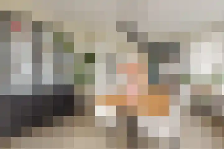 Bentheimerstraat 38 de Lutte thumbnail 8