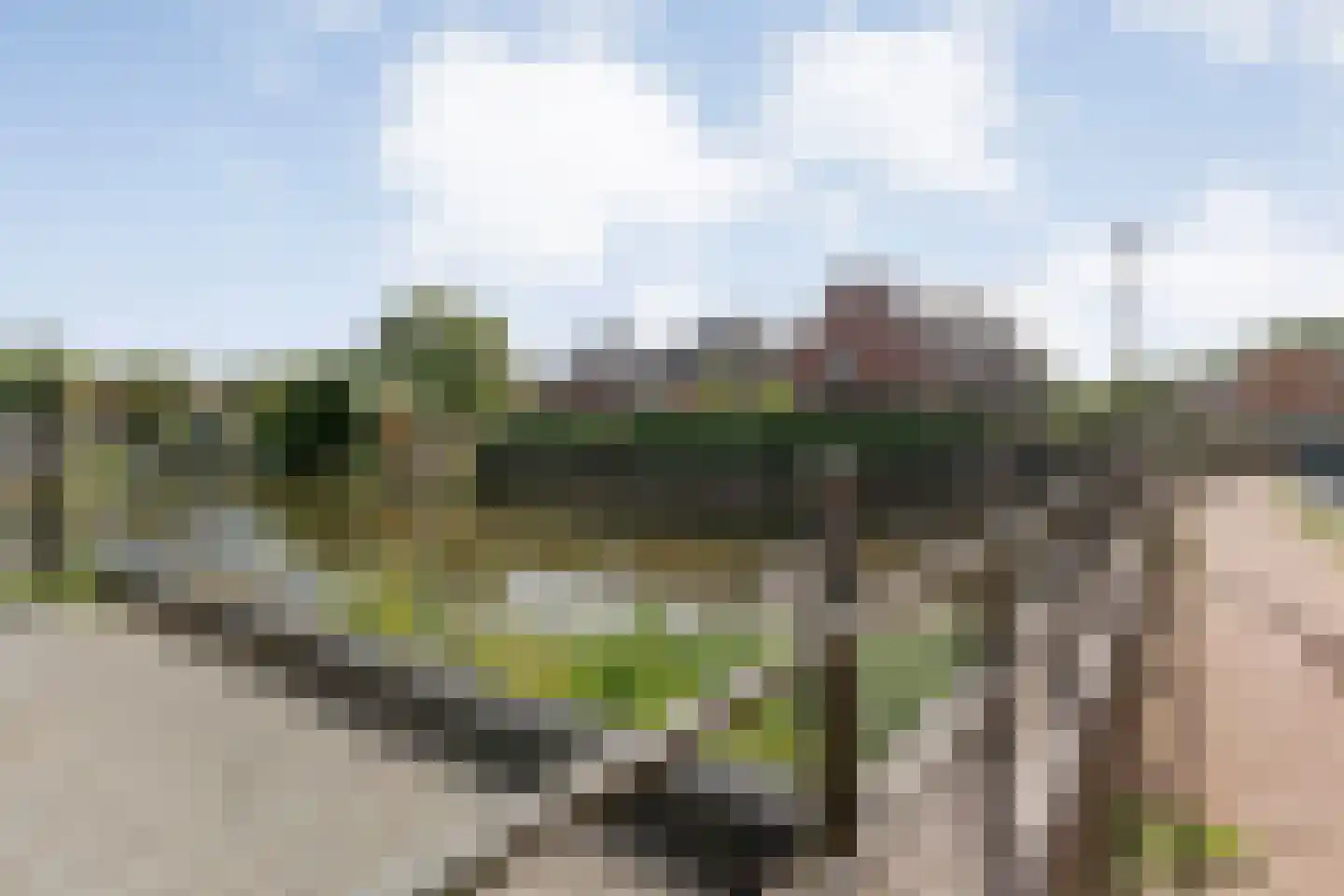 Bentheimerstraat 41 Coevorden thumbnail 25