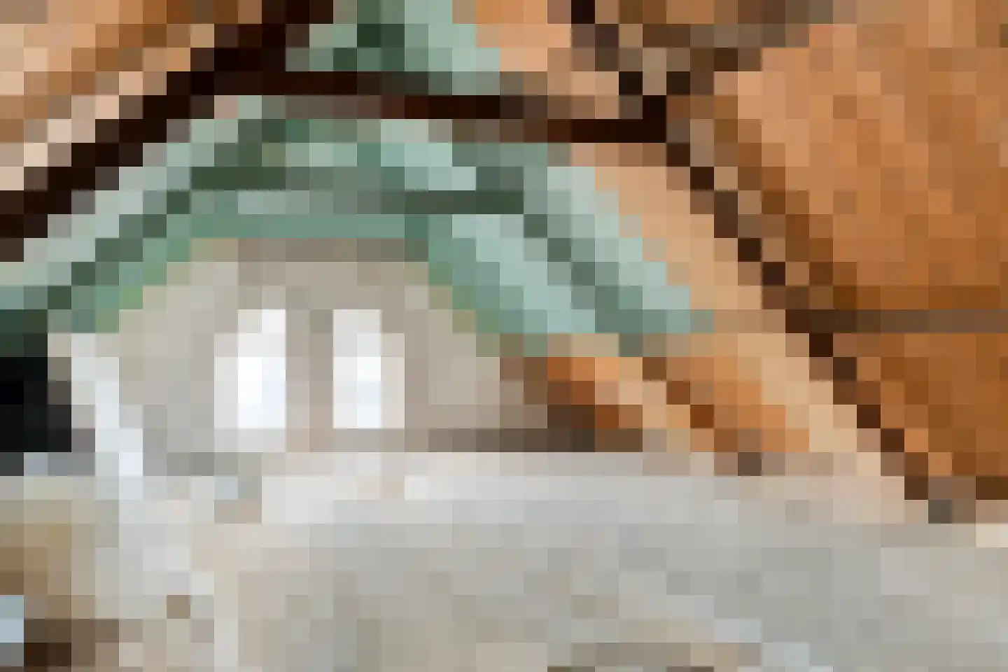 Bentheimerstraat 5 A Coevorden thumbnail 34