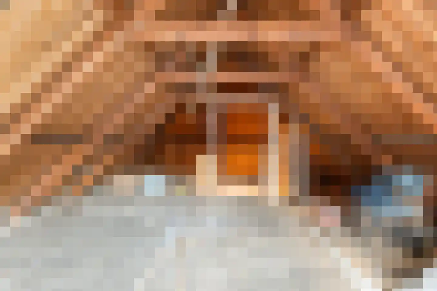 Bentheimerstraat 5 A Coevorden thumbnail 35