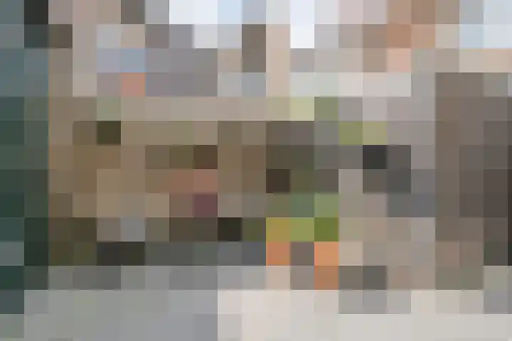 Bentheimerstraat 50 Coevorden thumbnail 31