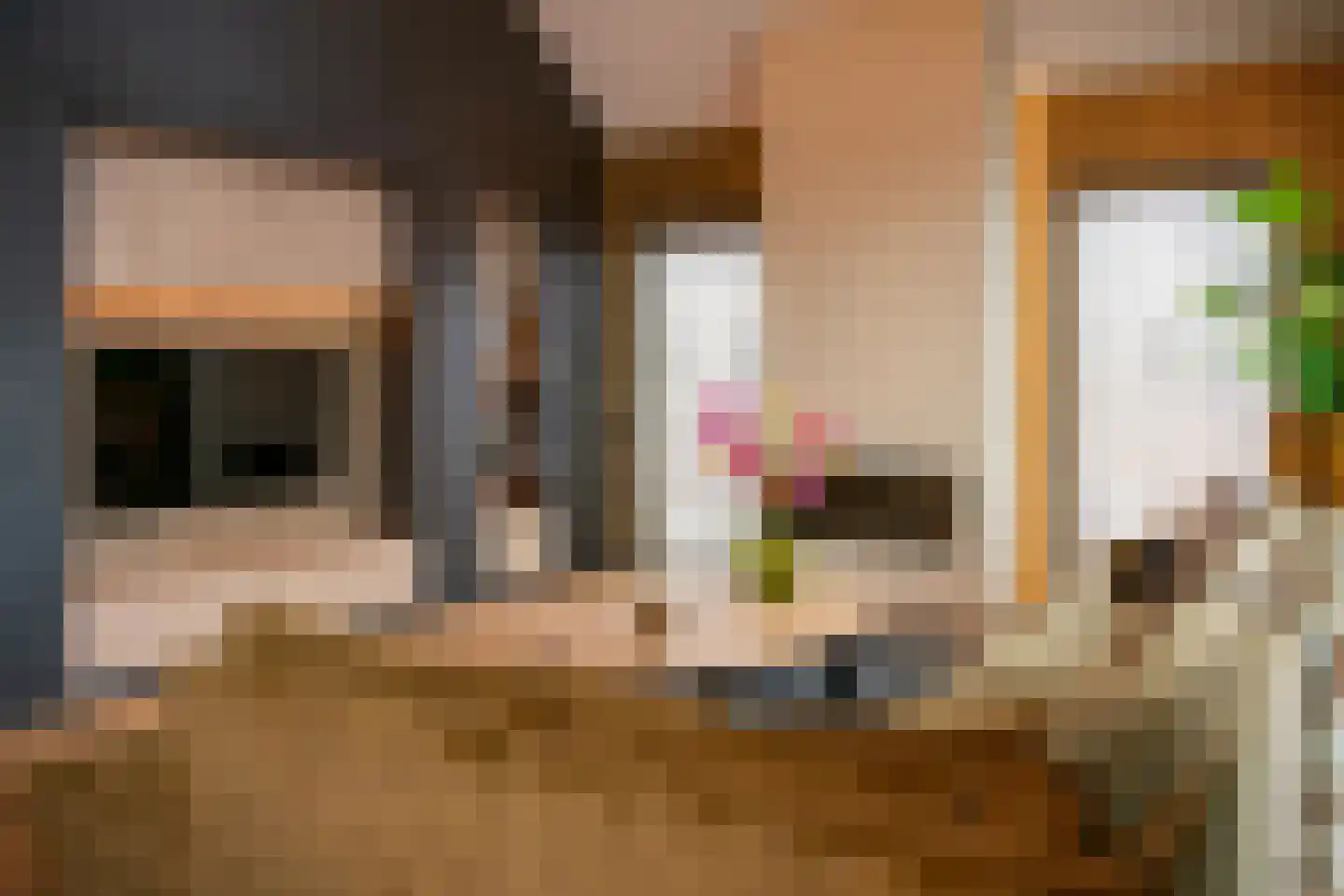 Bentheimerstraat 72 Coevorden thumbnail 20