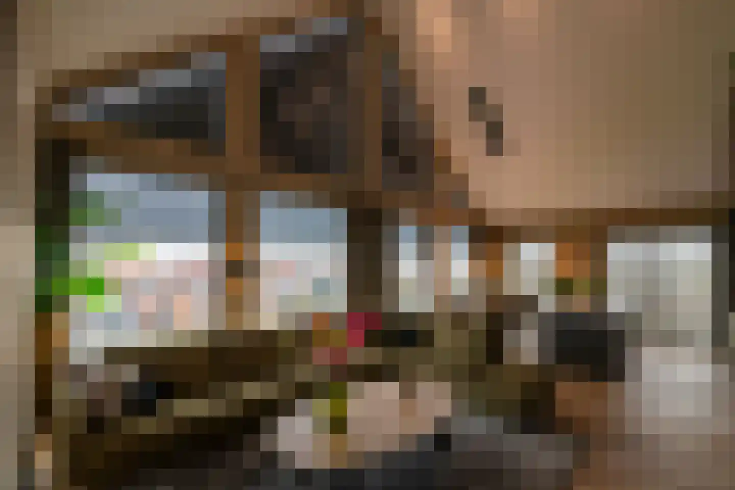 Bentheimerstraat 72 Coevorden thumbnail 31