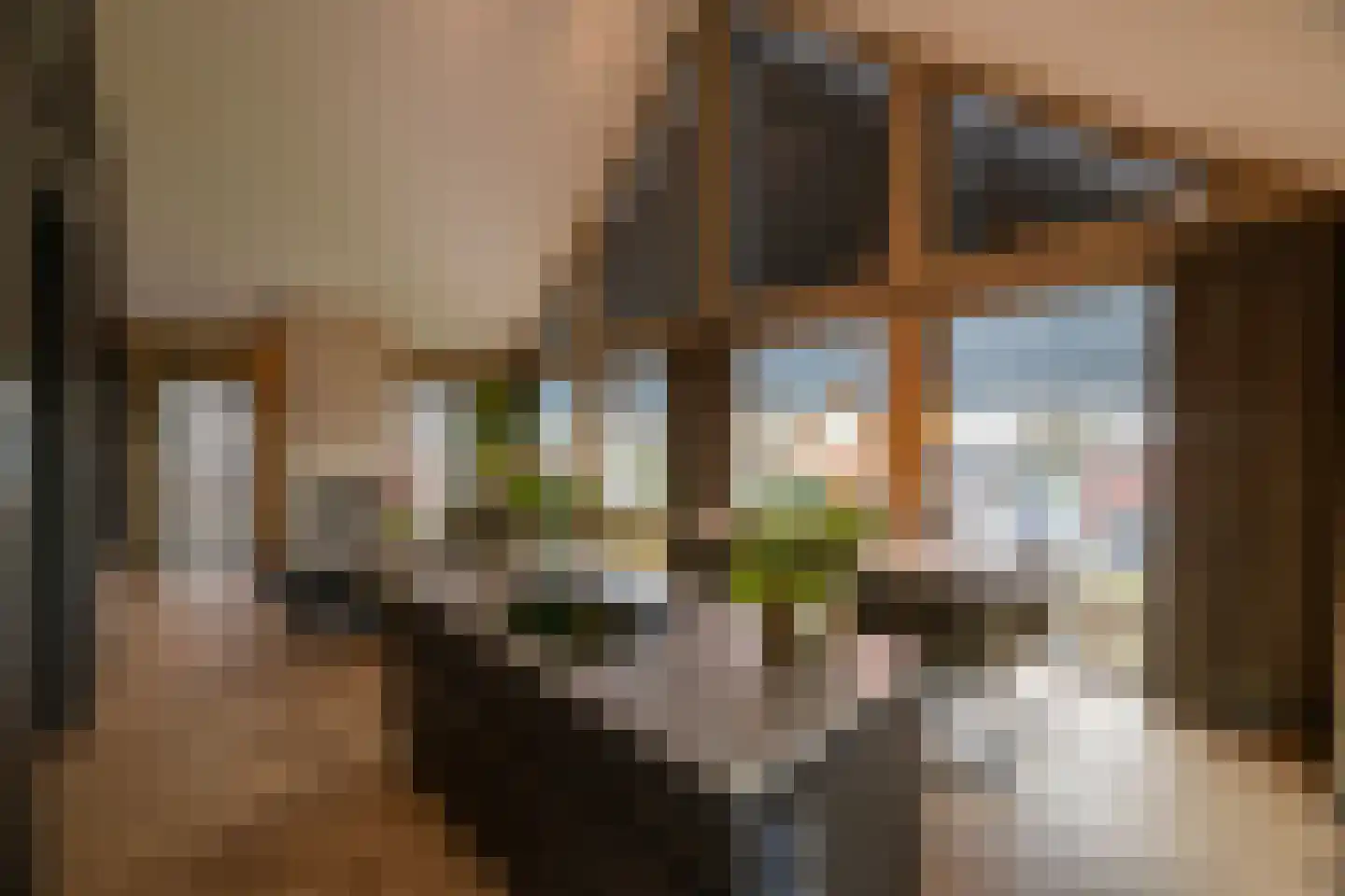 Bentheimerstraat 72 Coevorden thumbnail 32