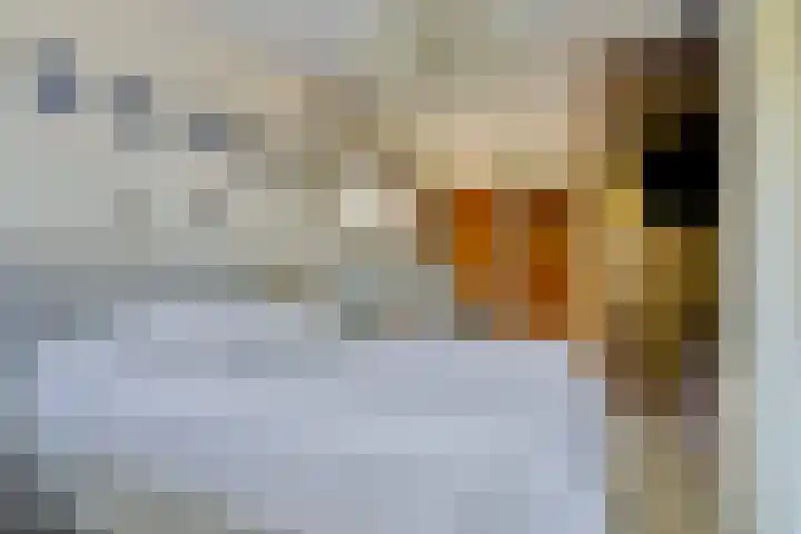 Bentheimerstraat 99 A de Lutte thumbnail 21