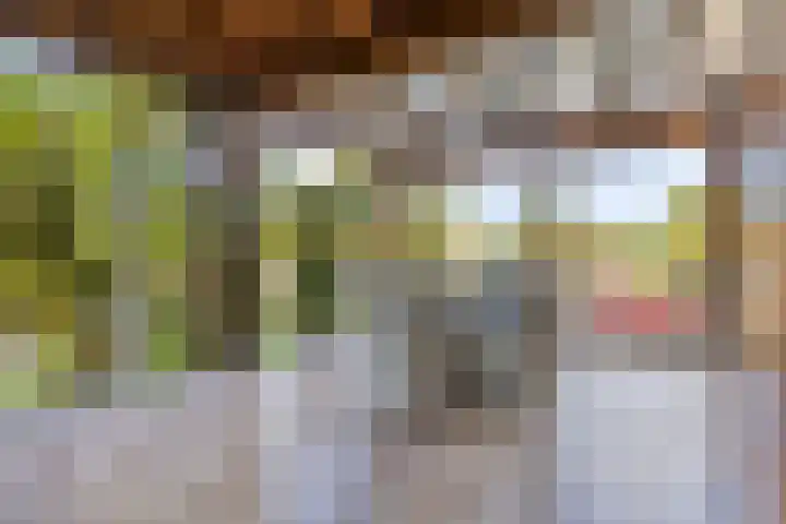 Bentheimerstraat 99 A de Lutte thumbnail 40