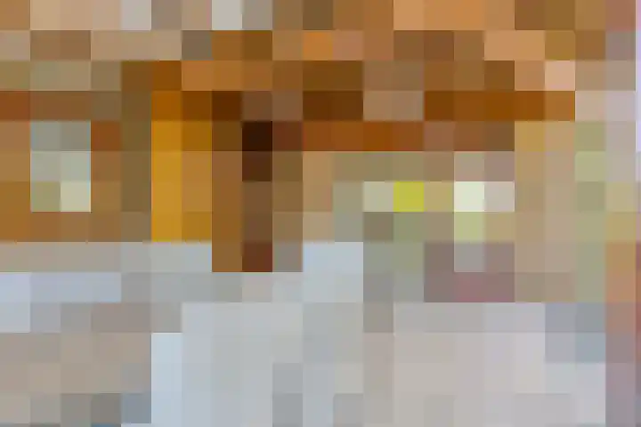 Bentheimerstraat 99 A de Lutte thumbnail 41