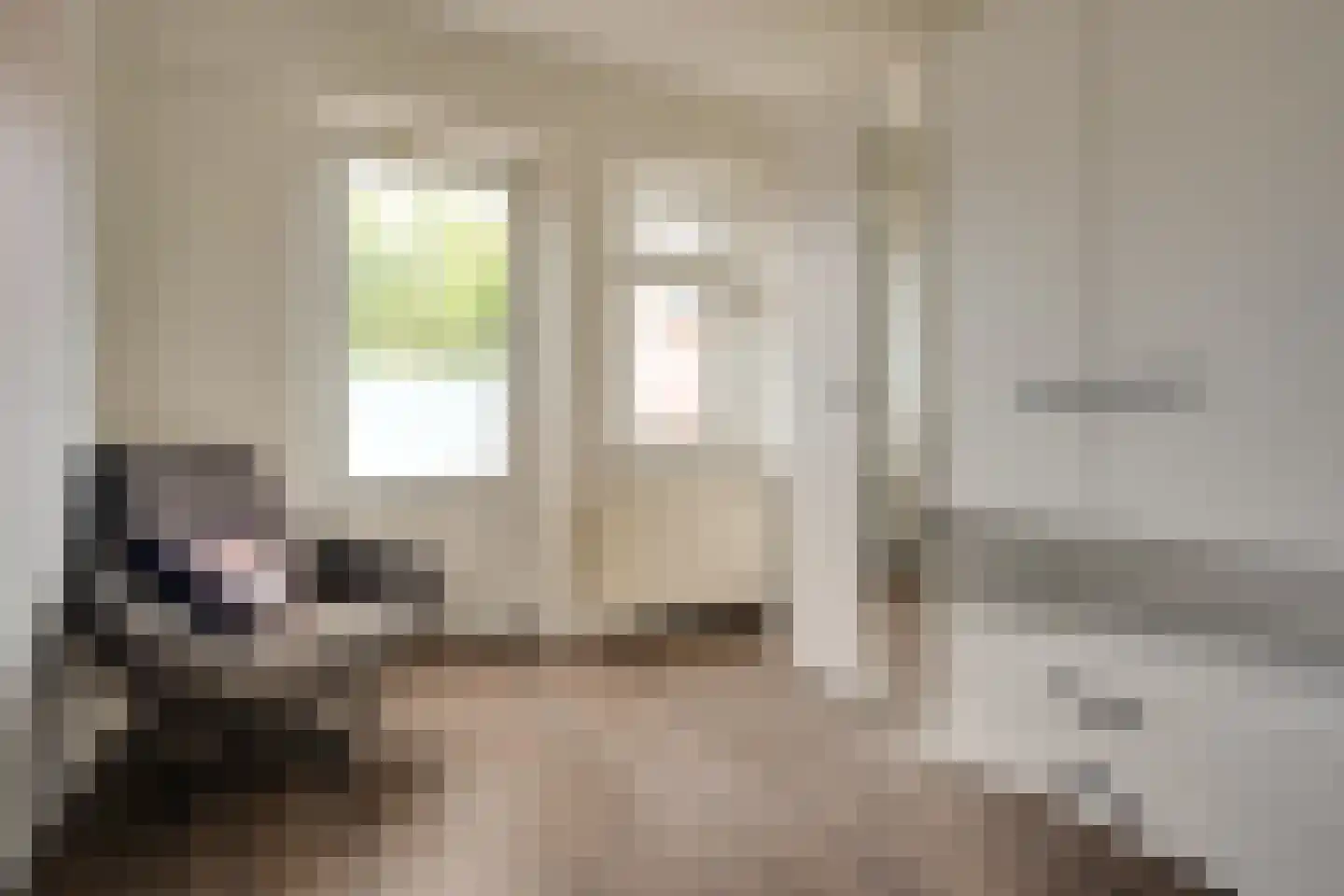 Benthem Reddingiusstraat 23 Assen thumbnail 11