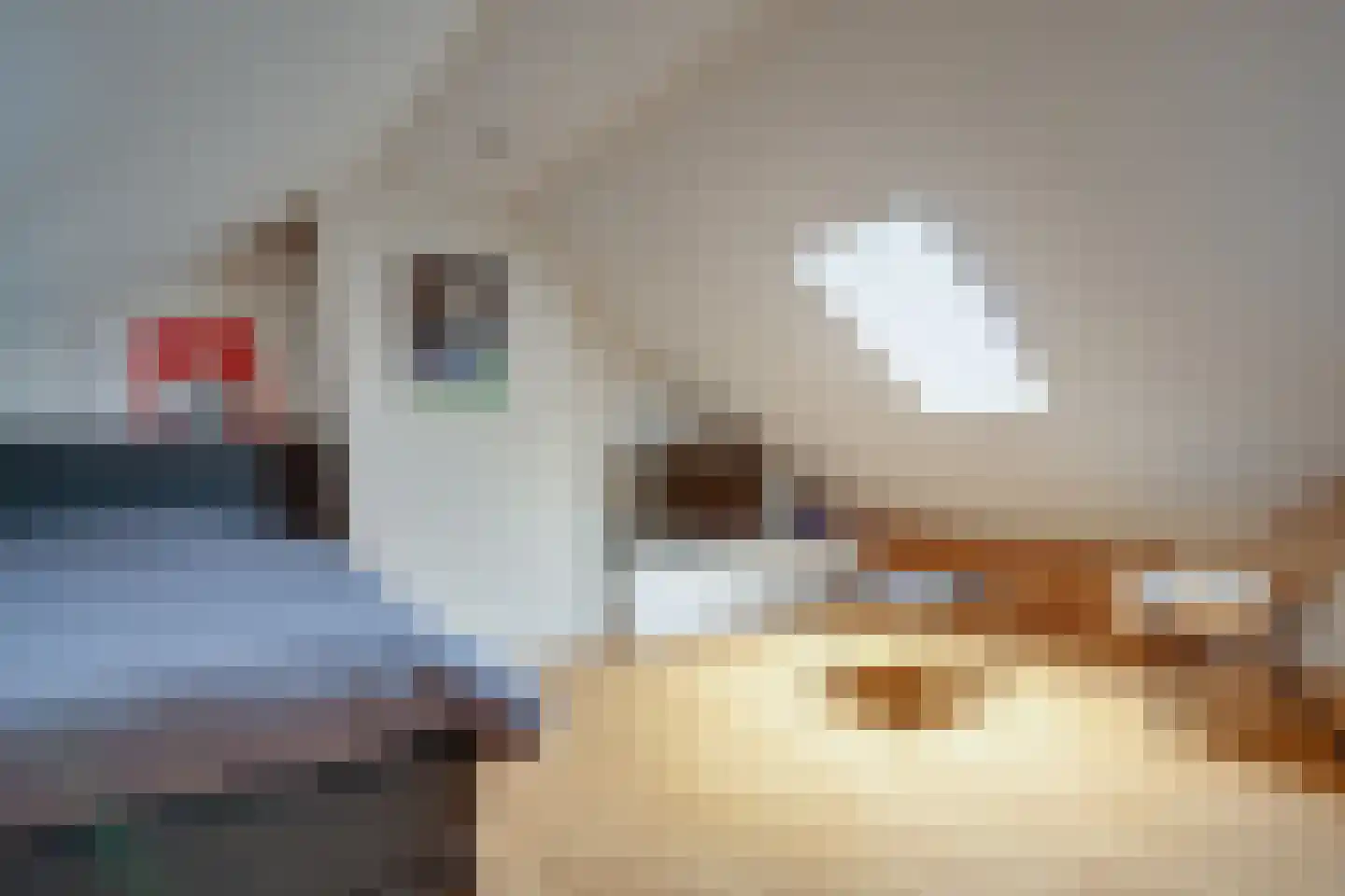 Benthem Reddingiusstraat 23 Assen thumbnail 20