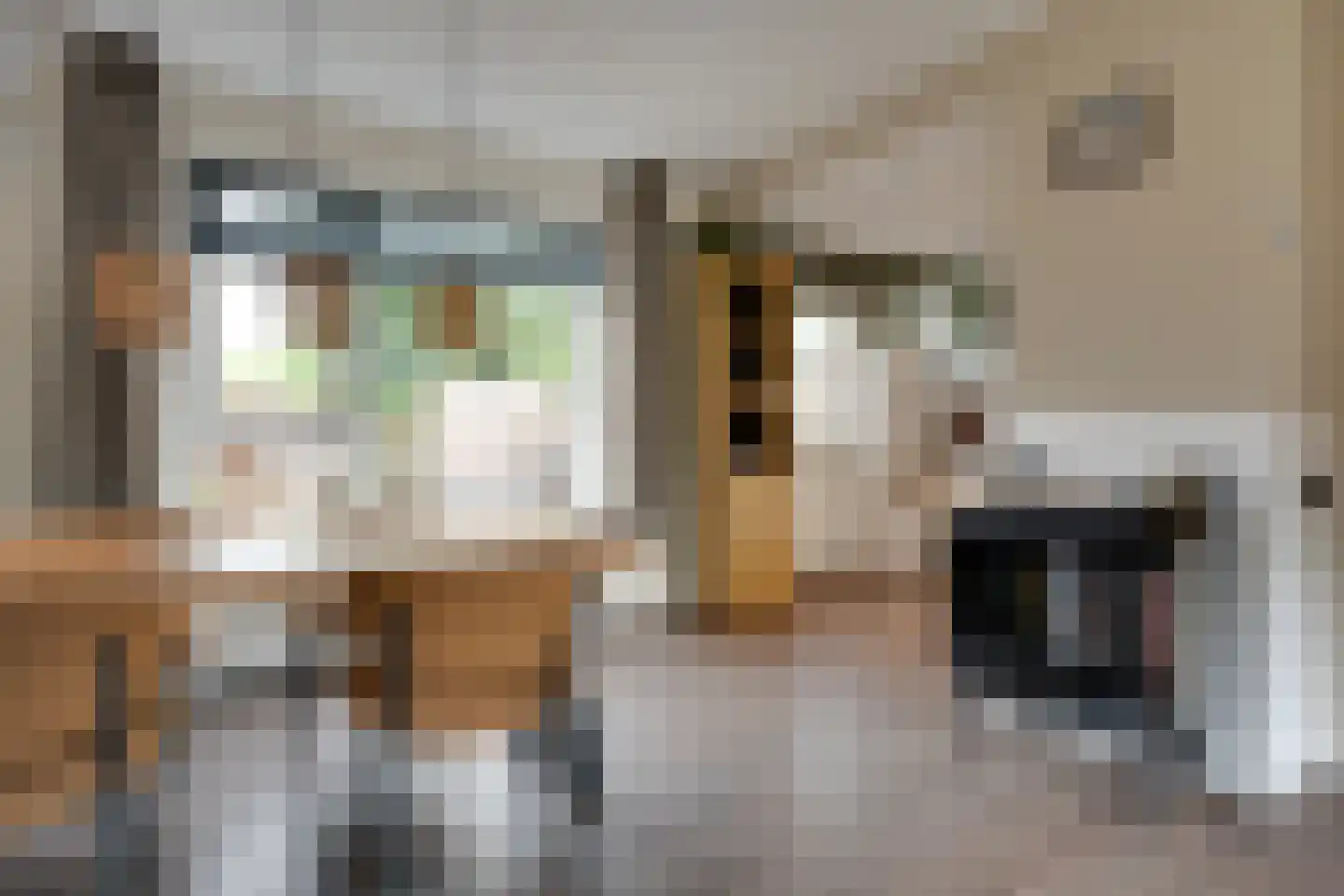 Benthem Reddingiusstraat 23 Assen thumbnail 5