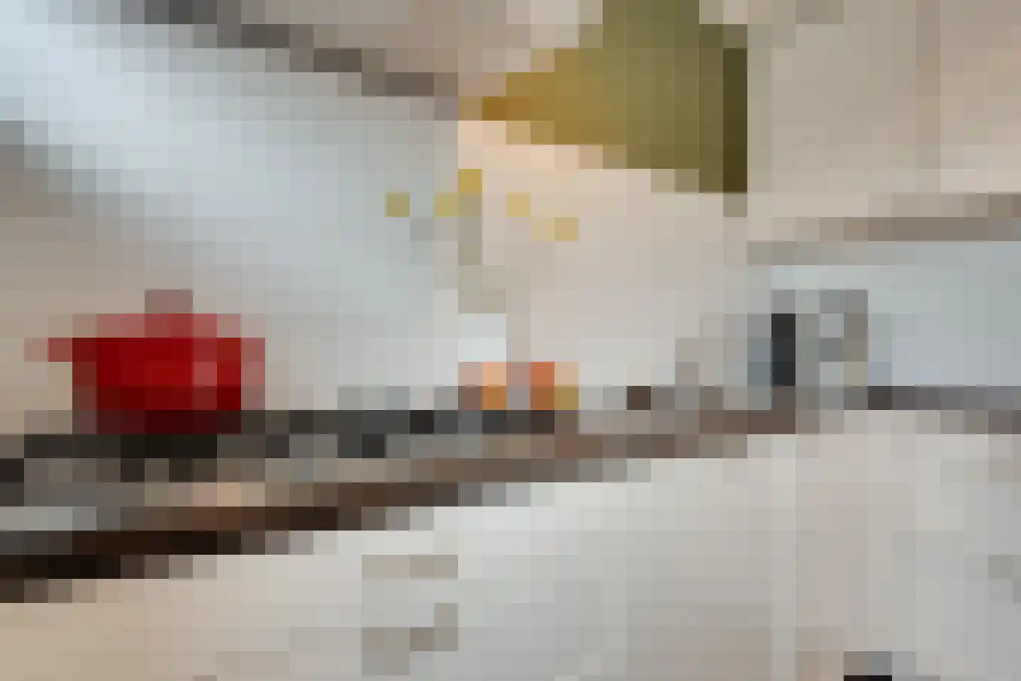 Benthem Reddingiusstraat 23 Assen thumbnail 8