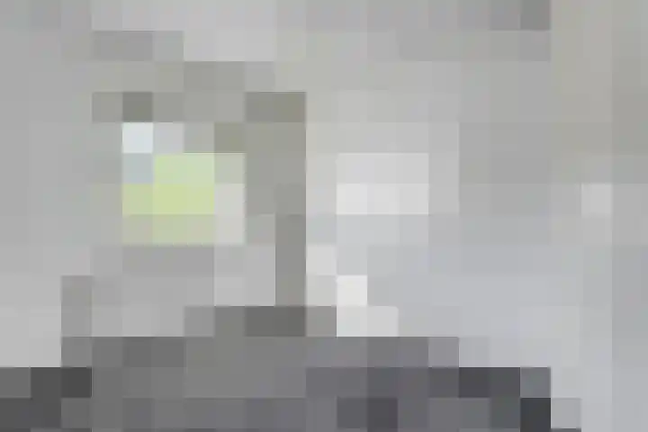 Benthuislaan 26 Zwolle thumbnail 19