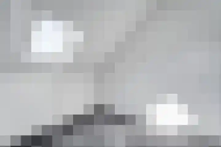 Benthuislaan 26 Zwolle thumbnail 26