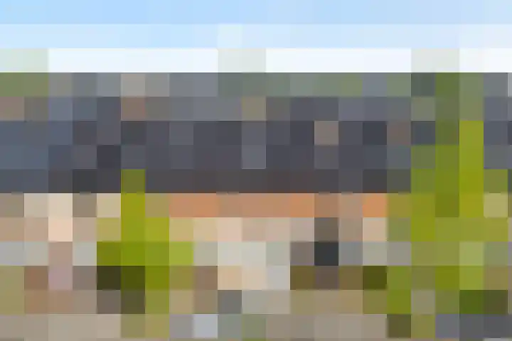 Benthuislaan 26 Zwolle thumbnail 32