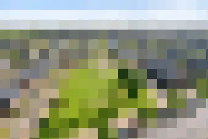 Benthuislaan 26 Zwolle thumbnail 33