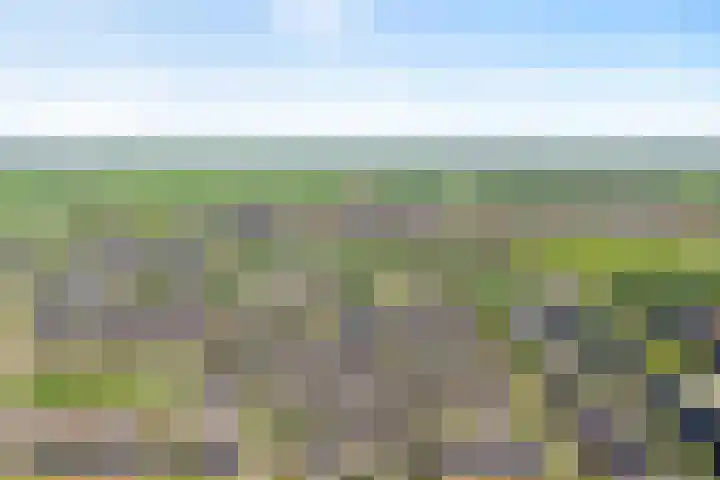 Benthuislaan 26 Zwolle thumbnail 34