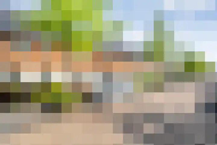 Benthuislaan 26 Zwolle thumbnail 4