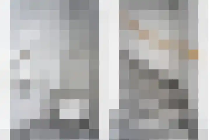 Benthuislaan 26 Zwolle thumbnail 7