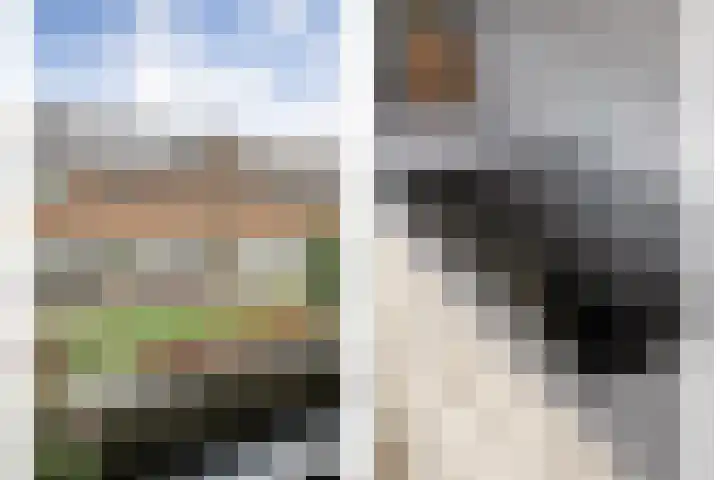 Benthuislaan 33 Zwolle thumbnail 15