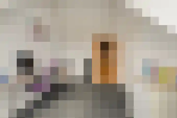 Benthuislaan 33 Zwolle thumbnail 30