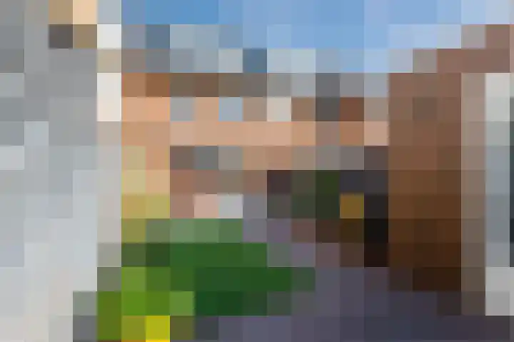 Benthuislaan 43 Zwolle thumbnail 39