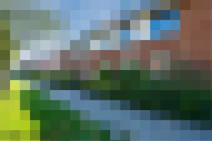 Benthuislaan 43 Zwolle thumbnail 48