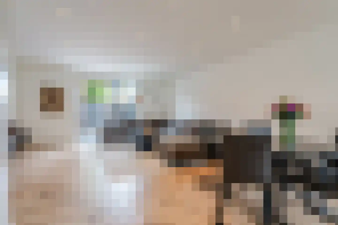Benthuislaan 52 Zwolle thumbnail 11