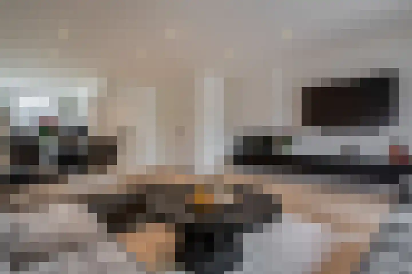 Benthuislaan 52 Zwolle thumbnail 15