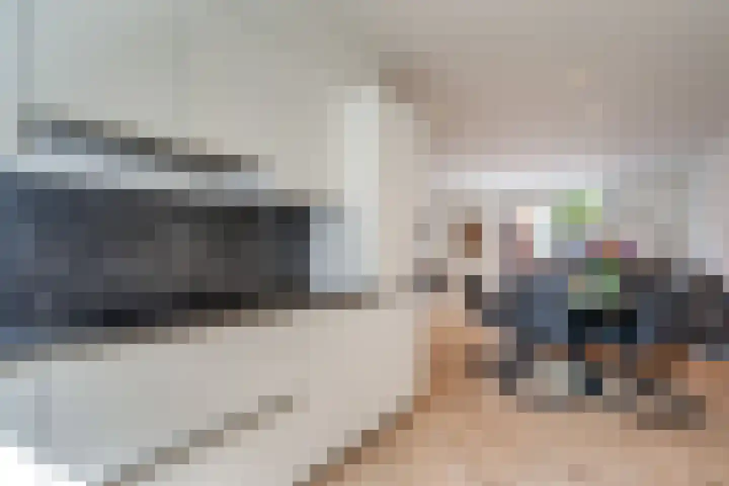 Benthuislaan 52 Zwolle thumbnail 21