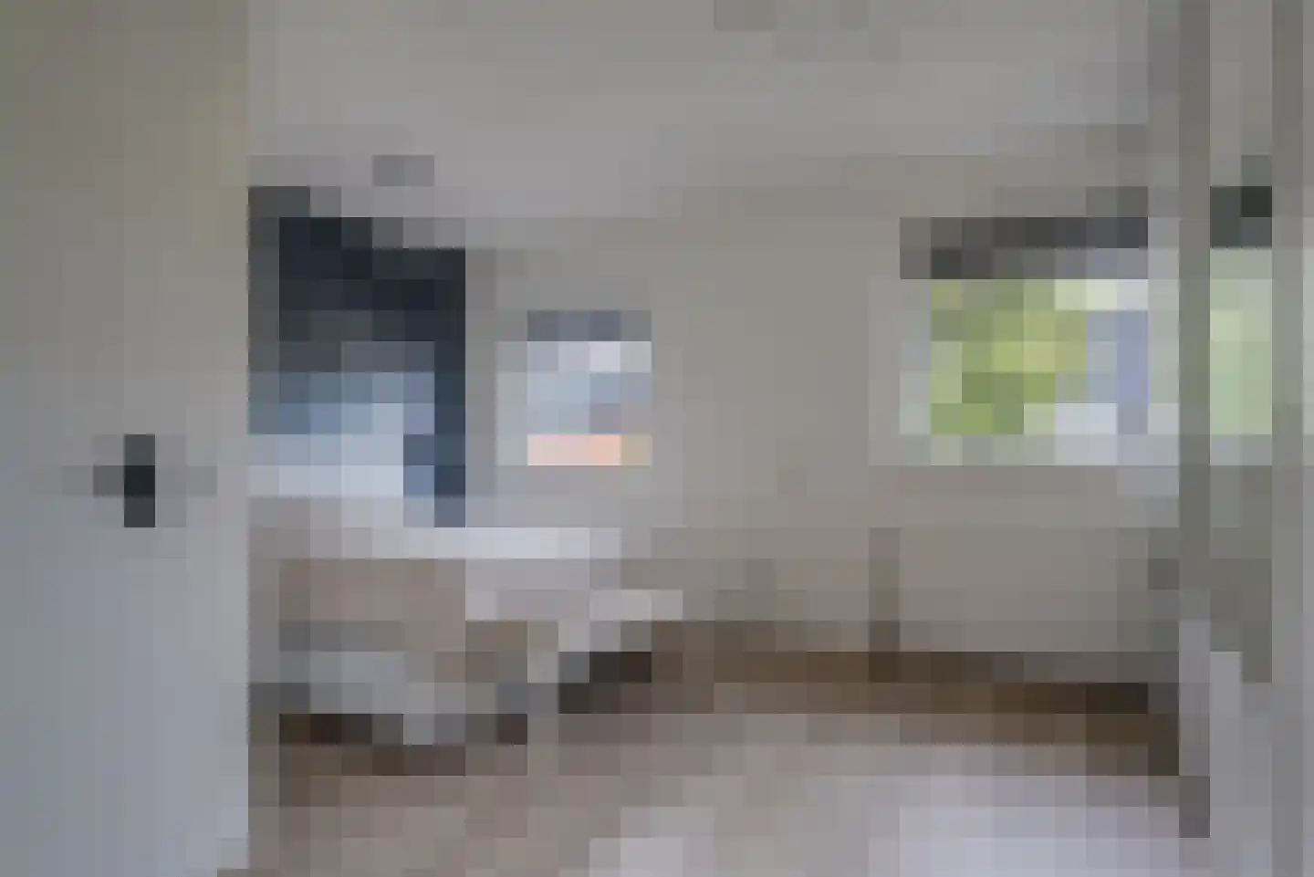 Benthuislaan 52 Zwolle thumbnail 30
