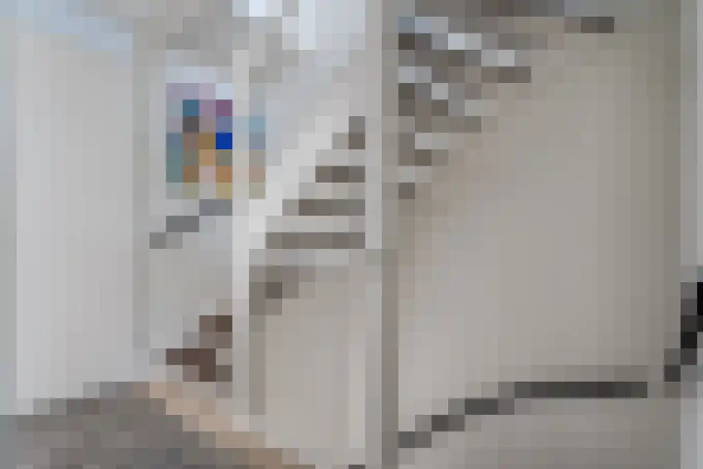 Benthuislaan 52 Zwolle thumbnail 33