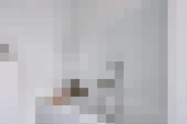 Benthuislaan 59 Zwolle thumbnail 30